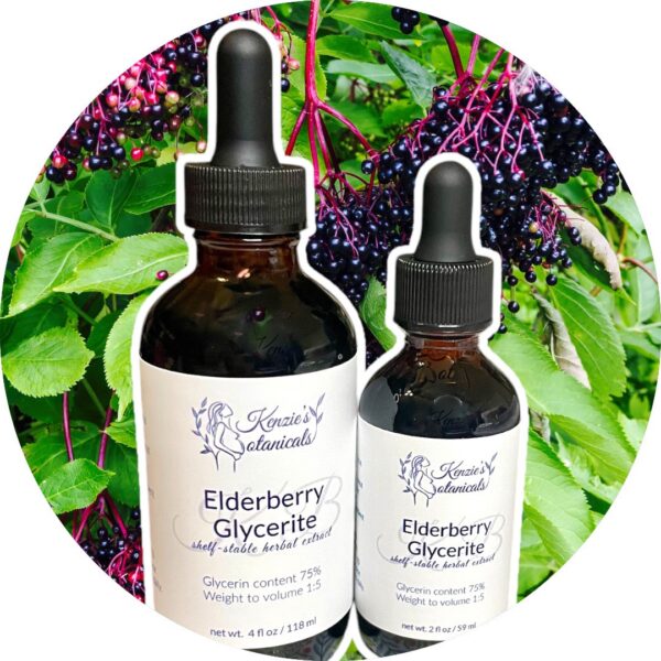 Organic Elderberry Glycerite | Pure Non-Alcoholic Elderberry Syrup